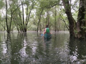 opencanoe8